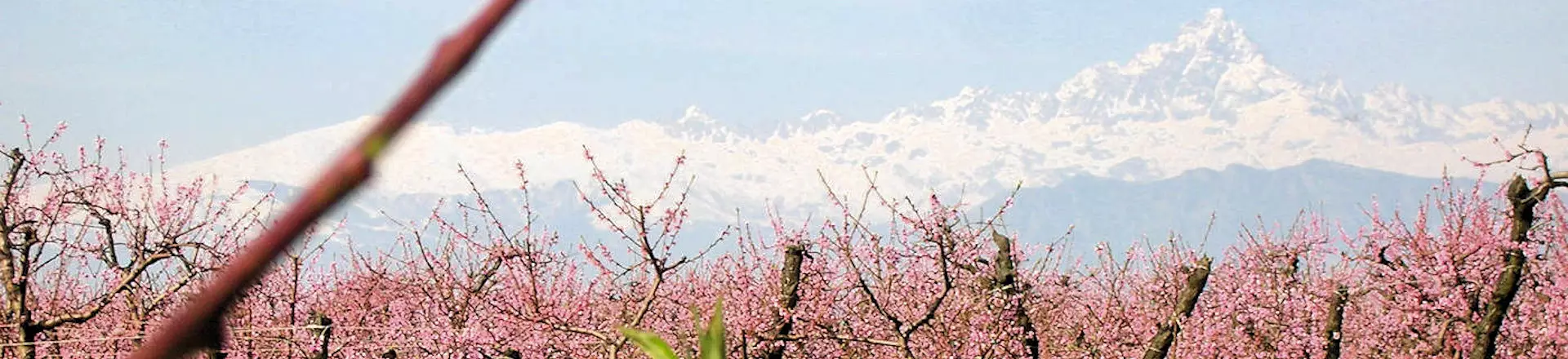 Comune di Scarnafigi
